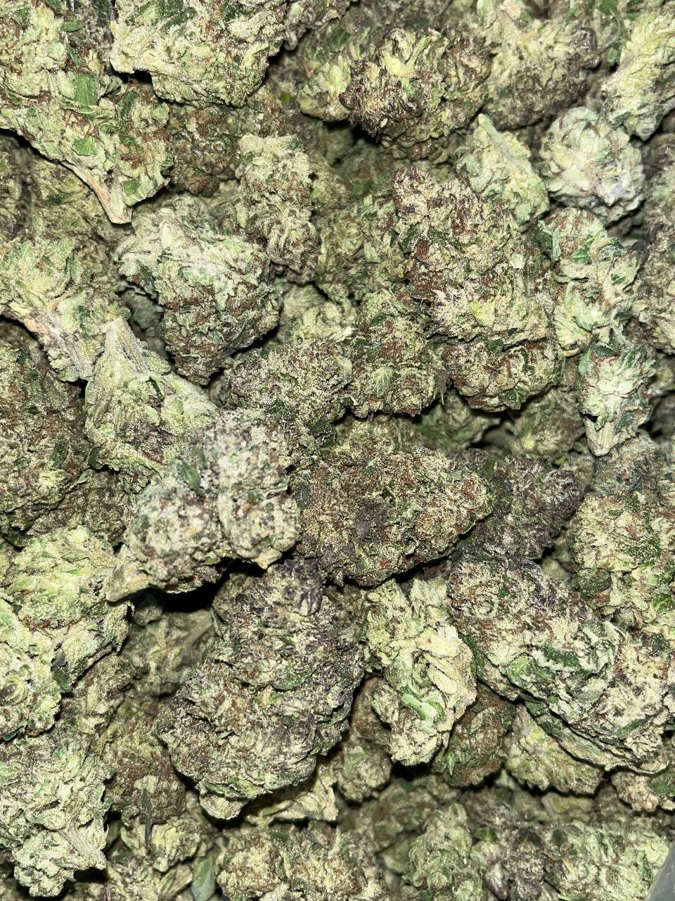 Biscotti THCA 2 Buy Biscotti THCA