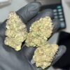 Biscotti THCA