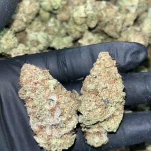 Blueberry Muffins THCA