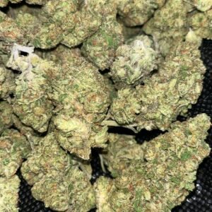 Jealousy Indoor THCA