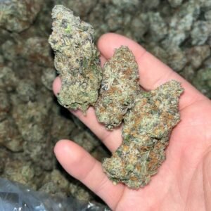 Home 15 "Experience Rare Luxury with Orange Creamsicle EXOTIC THCA: 24-28% THC & Unique Terpenes"