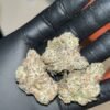 "Experience Luxury with Oreo Blizzard THCA EXOTICS: Indulgent Blend & 26-30% THC"