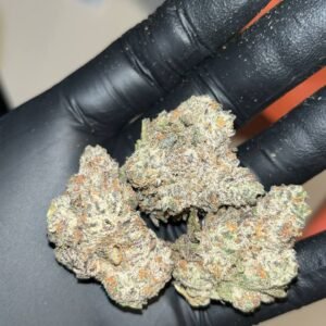 "Experience Luxury with Oreo Blizzard THCA EXOTICS: Indulgent Blend & 26-30% THC"