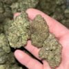 "Leave a Mark with Permanent Marker THCA: Intense Aroma & 22-26% THC"
