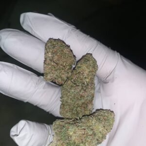 Sour Runtz