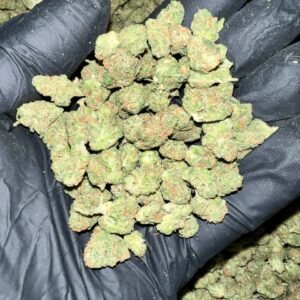 Experience the unique flavor of Black Garlic Gelato THCA Flower. Buy high-quality cannabis buds online at our dispensary. Fast shipping and discreet packaging guaranteed!