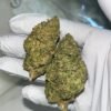 Gelato Z THCA Flower