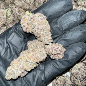 Home 6 Granimals EXOTIC THCA Flower offers rich, sweet flavors and a potent, relaxing high. High THCA content, perfect for wholesale buyers. Order in bulk now!