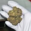 Jungle Driver THCA Flower