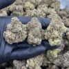 NYC Gelato THCA Flower - Creamy & Relaxing High for Wholesale Buyers