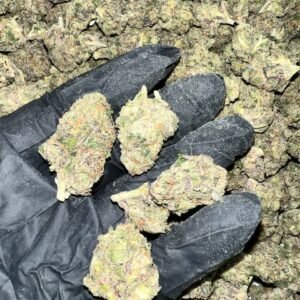 Runtz Indoor THCA