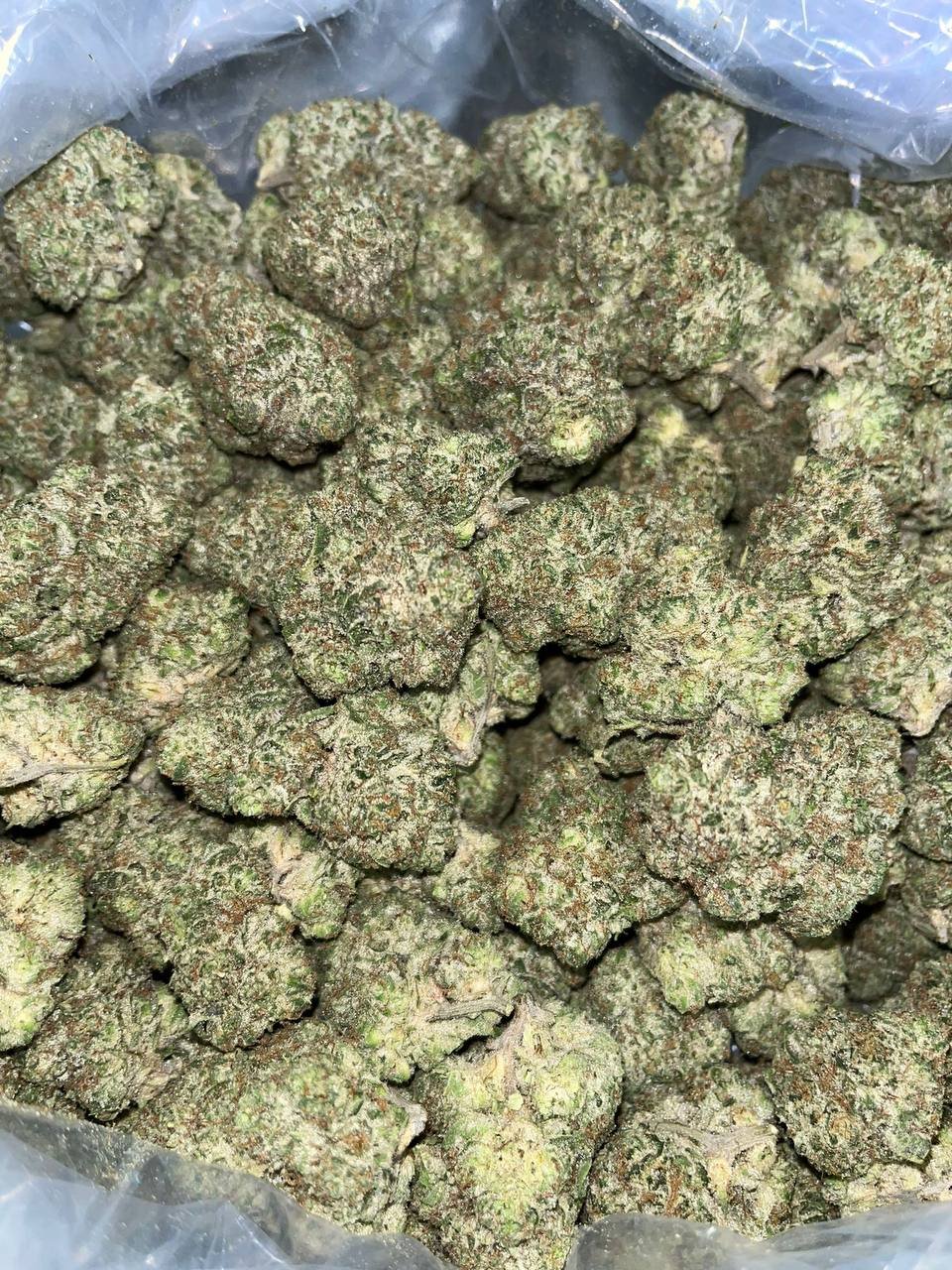Wedding Cake Exotic THCA 2 Exotic cannabis flowers