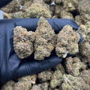 Windy City Runtz EXOTICS THCA Flower is a premium cannabis strain known for its exotic, fruity flavors and balanced effects. With a high THCA content, this strain delivers a potent and relaxing experience, making it ideal for unwinding. The smooth smoke and vibrant aroma make it a top choice among cannabis enthusiasts. Perfect for wholesale buyers, Windy City Runtz EXOTICS stands out for its exceptional quality and unique characteristics, ensuring satisfaction with every purchase.