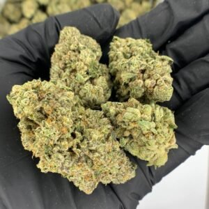 Animal Sherbet THCa