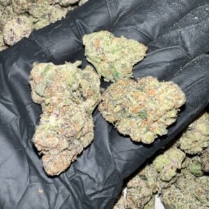 Bubble Gum Gelato THCa Flower - Closeup of High-THCa Cannabis Buds