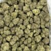 Candy Bolo THCa