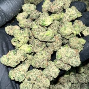 Home 13 Candy Gelato Exotic THCa Flower