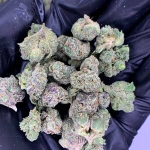 Home 22 Codeine Cupz THCa Flower - Closeup of High-THCa Cannabis Buds