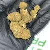Diesel Cookies THCA Flower Bulk Wholesale