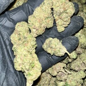 Donny Burger THCA Flower Bulk Wholesale