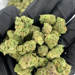 Donny Burger THCa Flower is a potent and effective cannabis strain that boasts high levels of THCa, making it perfect for wholesale buyers looking for a high-quality product