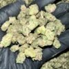 Double Stuff THCa Flower - Closeup of High-THCa Cannabis Buds
