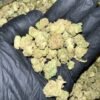 Hella Jelly THCa Flower Wholesale