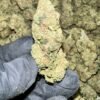 High-quality image of Astro Runtz THCA Flower
