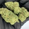 LA Kush Cake THCa Flower - Closeup of High-THCa Cannabis Buds