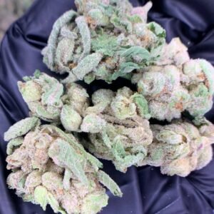 Home 10 Lions Cake THCa Flower - Closeup of High-THCa Cannabis Buds