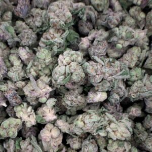 Lions Cake THCa Flower - High-Potency Cannabis Strain for Wholesale Buyers