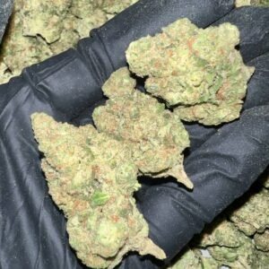 Home 28 Papaya Bomb Exotic THCa Flower - Buy Wholesale THCa Flower Online