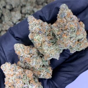 Pineapple Breeze THCa Flower - Closeup of High-THCa Cannabis Buds