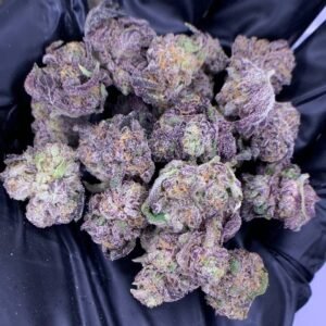 Home 9 Pinnacle THCa Flower - Closeup of High-THCa Cannabis Buds