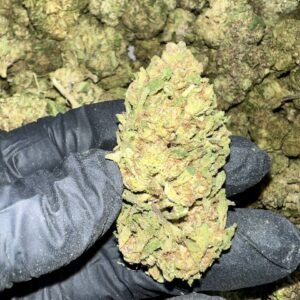 Discover Zerealz Pie THCa Flower, available for wholesale. Grown in Oregon and third-party tested, our premium flower offers the best quality and competitive pricing.