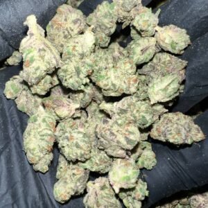 Secret Cookies THCa Flower Wholesale Purchase