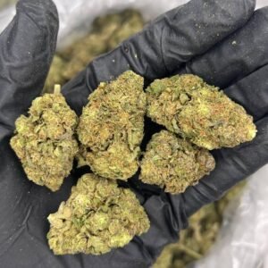 Buy High Octane THCa Flower in bulk and offer your customers a high-powered flavor experience. 29.5% THCa,