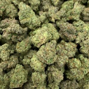 Buy Purple Nitro THCa Flower in bulk and offer your customers a high-energy flavor experience. 28.9% THCa,