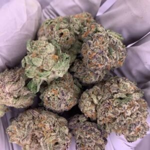Home 23 Purple Punch Exotic THCa Flower