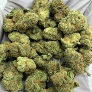 Home 8 Glitter Bomb Exotic THCa Flower Wholesale
