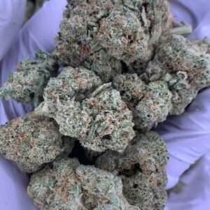 Hawaiian Shaved Ice THCa Flower buds with a tropical and fruity flavor profile