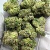 Martian Candy Exotic THCa Flower buds with a sweet and fruity flavor profile