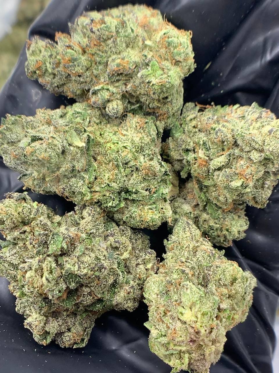 Purple Nitro THCa Flower 1 Purple Nitro THCa Flower Wholesale - 28.9% THCa,