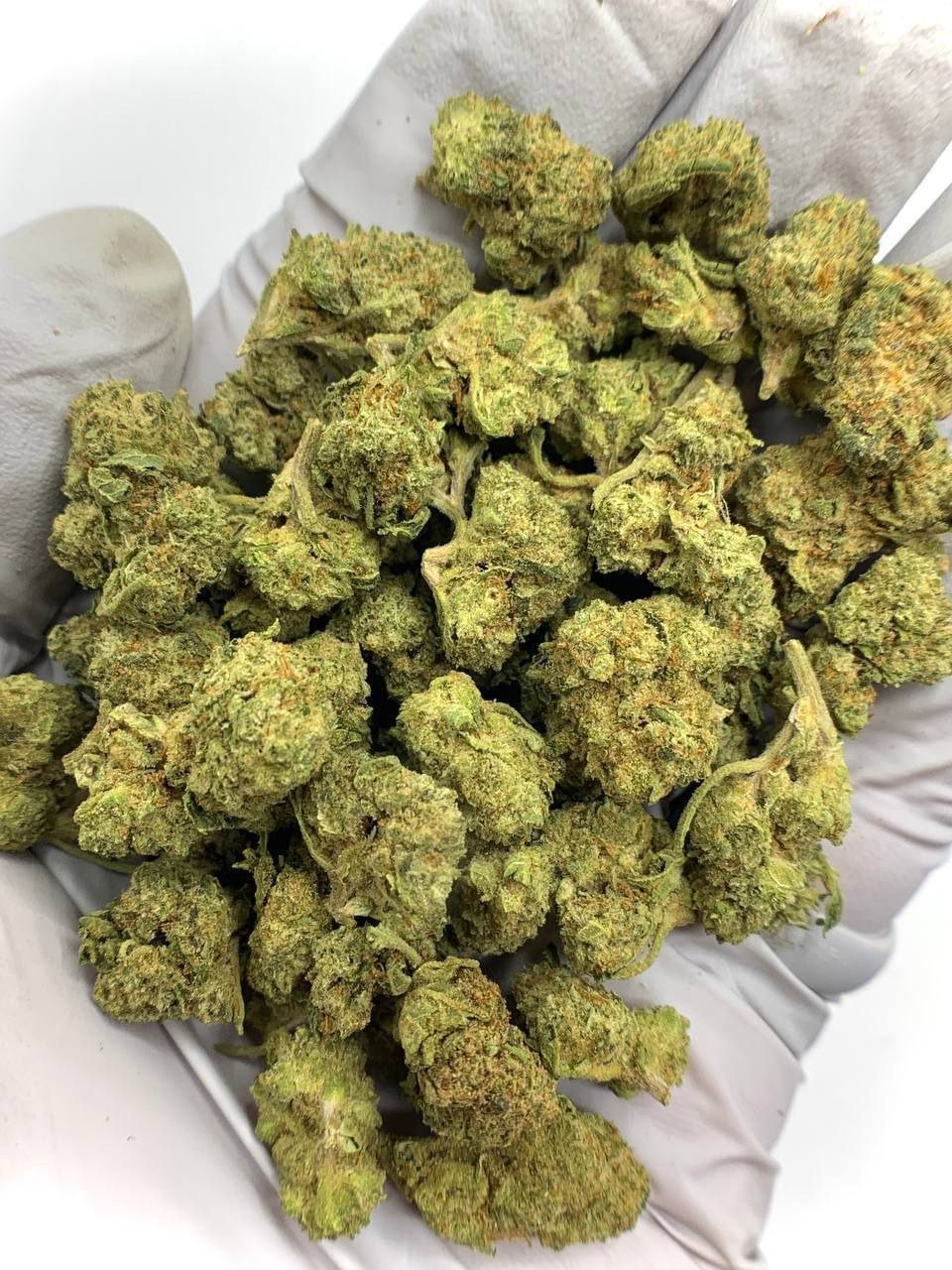 Apple Tartz THCA