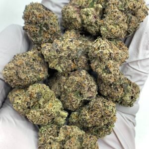 Archive Runtz Exotic THCa Flower with dense, frosty buds and a sweet, fruity aroma