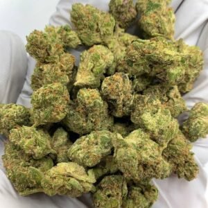 Home 12 Astro Candy Exotic THCa Flower with vibrant buds and sweet, fruity aroma