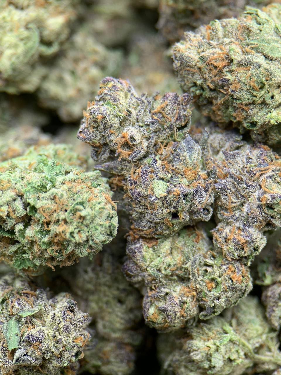 Exotic indoor THCA flower