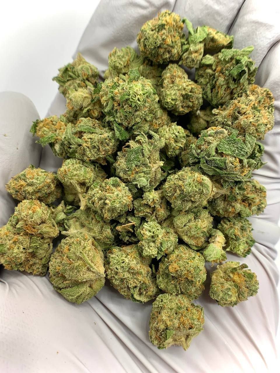 Bubble Bath THCa Flower 1 Bubble Bath THCa Flower for Bulk Wholesale Purchase