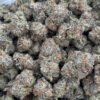 Bulk Jack Herer HHC Flower - Wholesale HHC Buds - High-Quality Cannabis