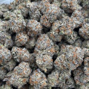 Bulk Jack Herer HHC Flower - Wholesale HHC Buds - High-Quality Cannabis